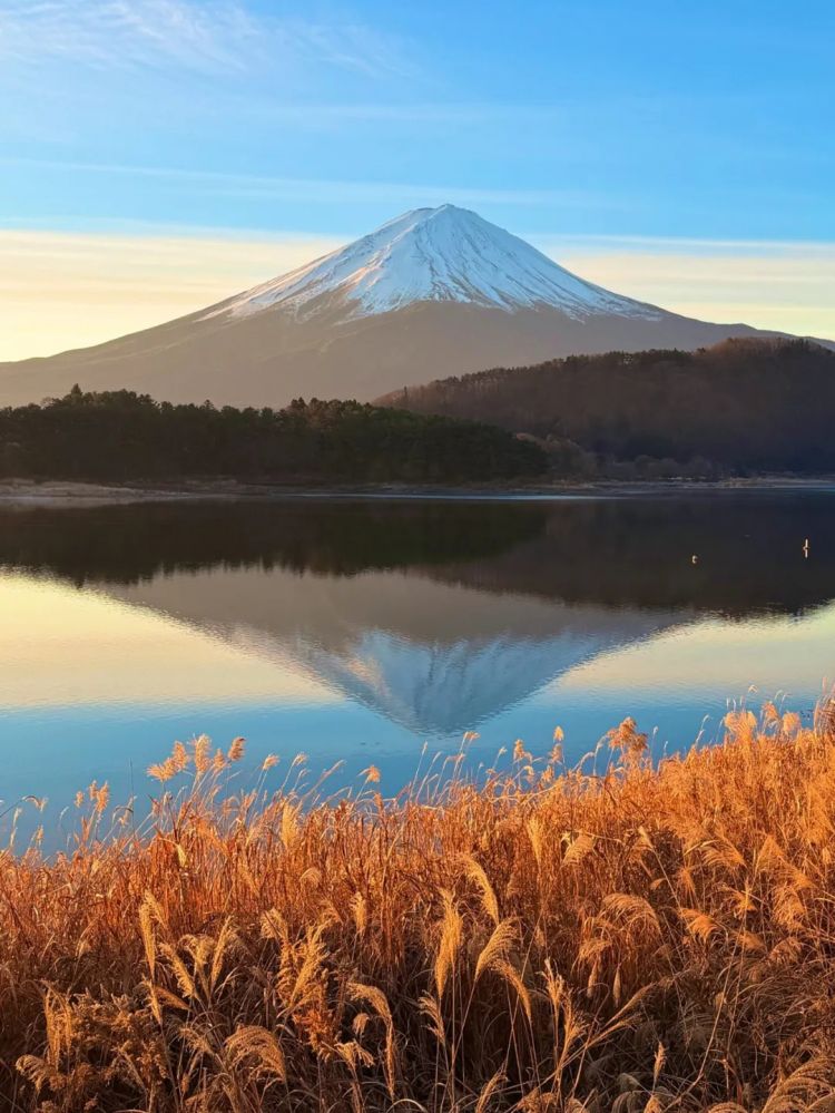 第269期:日本投入62亿应对熊害;松田圣子加盟红白;堂本光一宣布结婚;日本出生率再创新低?全球百大最美面孔出炉 | 百通板 第269期:日本投入62亿应对熊害;松田圣子加盟红白;堂本光一宣布结婚;日本出生率再创新低?全球百大最美面孔出炉 | 百通板