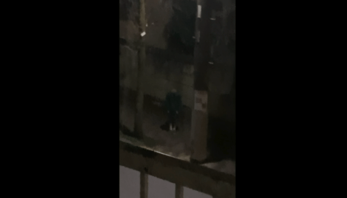 日本伪纪录片鬼才导演又出手了，恐怖拉满！