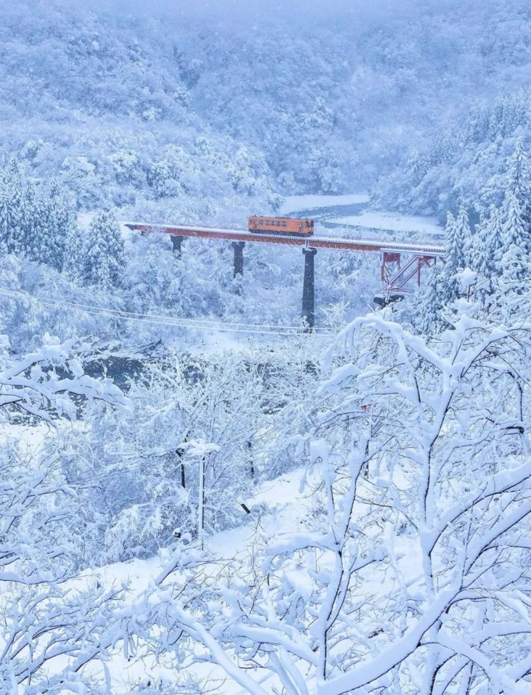 第270期：元旦结婚潮 日剧吧四大台柱均已结婚；印度超越日本成第四大经济体？永野芽郁更新博客 | 百通板