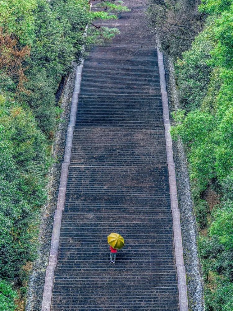 第270期：元旦结婚潮 日剧吧四大台柱均已结婚；印度超越日本成第四大经济体？永野芽郁更新博客 | 百通板