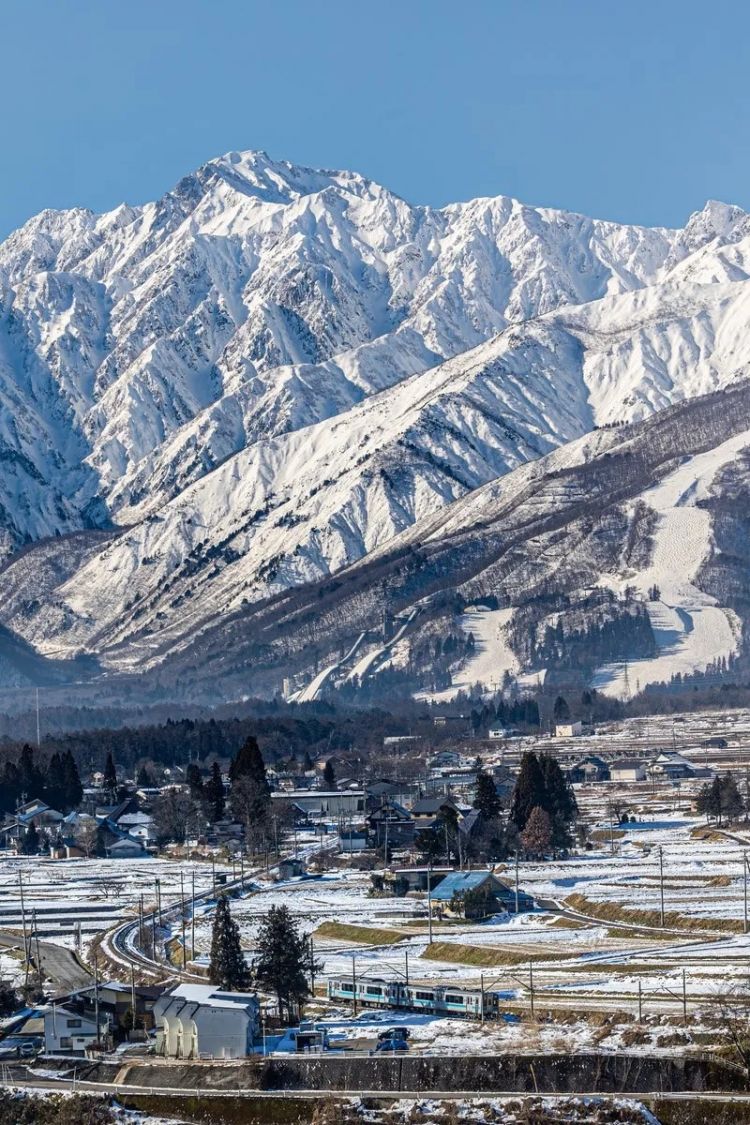 第270期：元旦结婚潮 日剧吧四大台柱均已结婚；印度超越日本成第四大经济体？永野芽郁更新博客 | 百通板