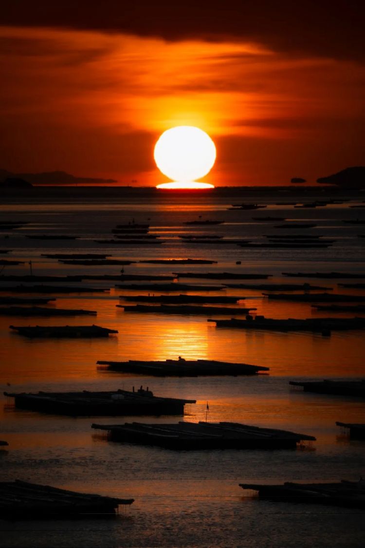 第270期：元旦结婚潮 日剧吧四大台柱均已结婚；印度超越日本成第四大经济体？永野芽郁更新博客 | 百通板