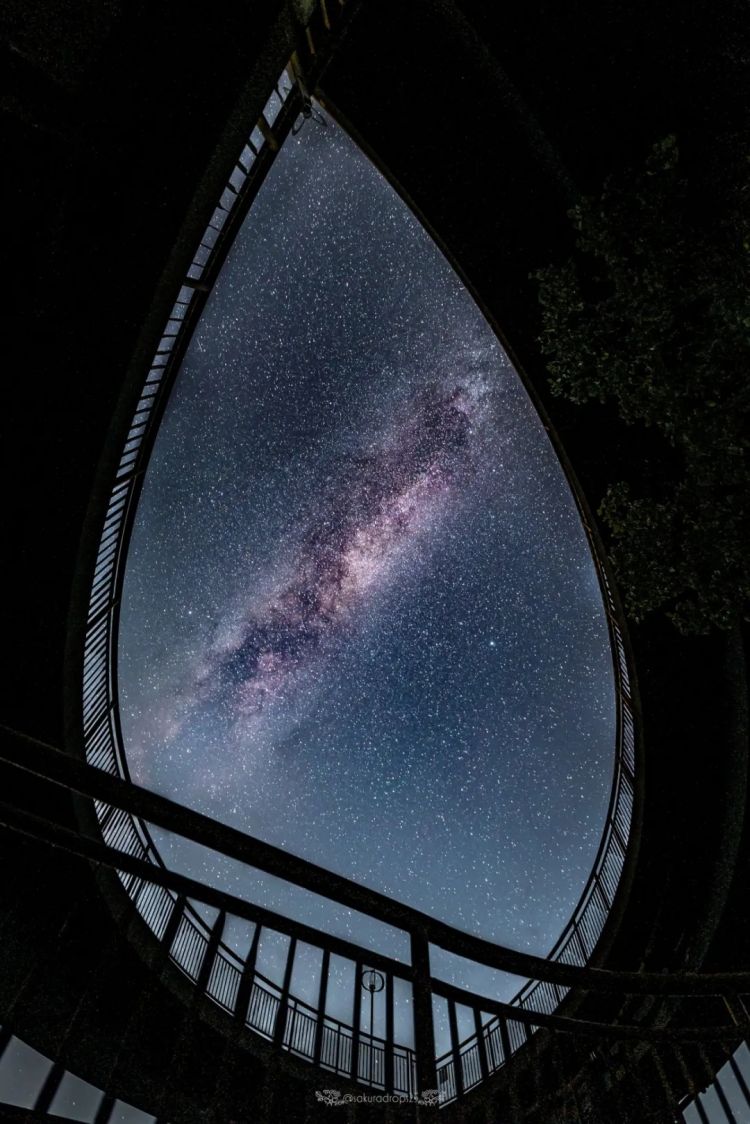 第271期：中国对日本实施出口管制；北海道餐馆墙壁藏尸？高市早苗将解散众议院 日本或提前大选？XG改名 | 百通板