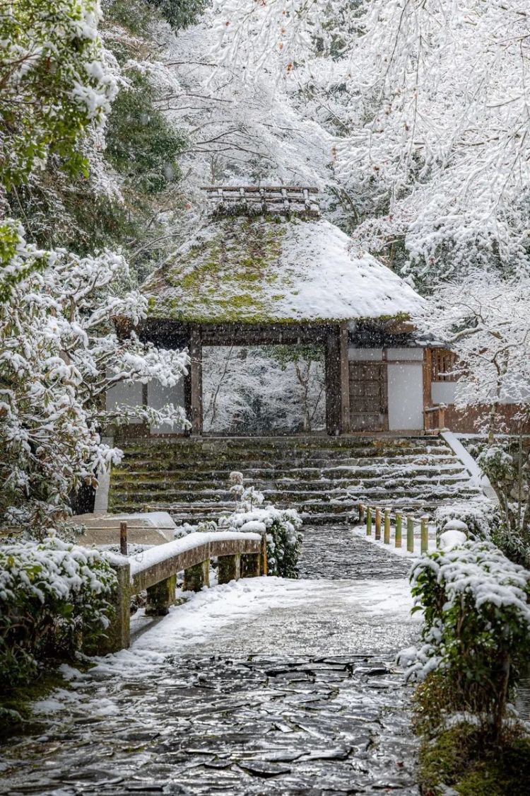 第272期:日本将提前大选 创下最快记录?日本前首相退出政坛 曾颁布令和年号;米仓凉子再陷涉毒疑云 | 百通板 第272期:日本将提前大选 创下最快记录?日本前首相退出政坛 曾颁布令和年号;米仓凉子再陷涉毒疑云 | 百通板