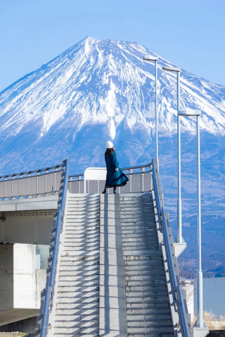 第273期:安倍晋三遇刺案宣判无期;提前大选 高市早苗支持率骤降?上野双胞胎熊猫回国 日本再无大熊猫?| 百通板 第273期:安倍晋三遇刺案宣判无期;提前大选 高市早苗支持率骤降?上野双胞胎熊猫回国 日本再无大熊猫?| 百通板