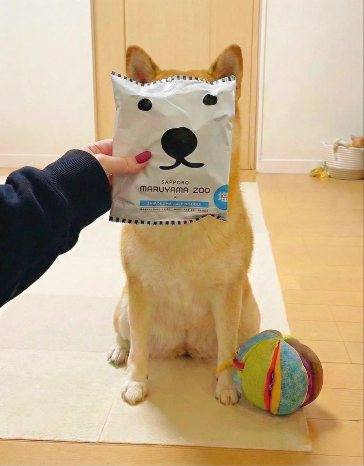 第274期：安倍晋三遇刺案山上彻也将上诉；日本新首相将于18日选出；米仓凉子复出？石原里美木村拓哉梦幻联动？| 百通板