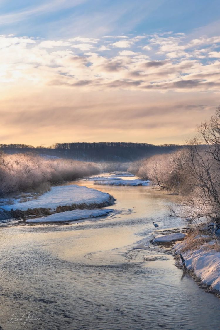 第274期：安倍晋三遇刺案山上彻也将上诉；日本新首相将于18日选出；米仓凉子复出？石原里美木村拓哉梦幻联动？| 百通板