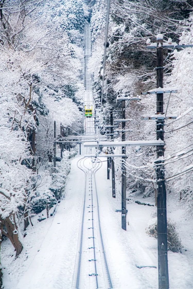 第275期：众议院选举大胜 日本进入高市早苗首相时代？米兰冬奥日本花滑团体摘银；平成的山口百惠闪婚？| 百通板