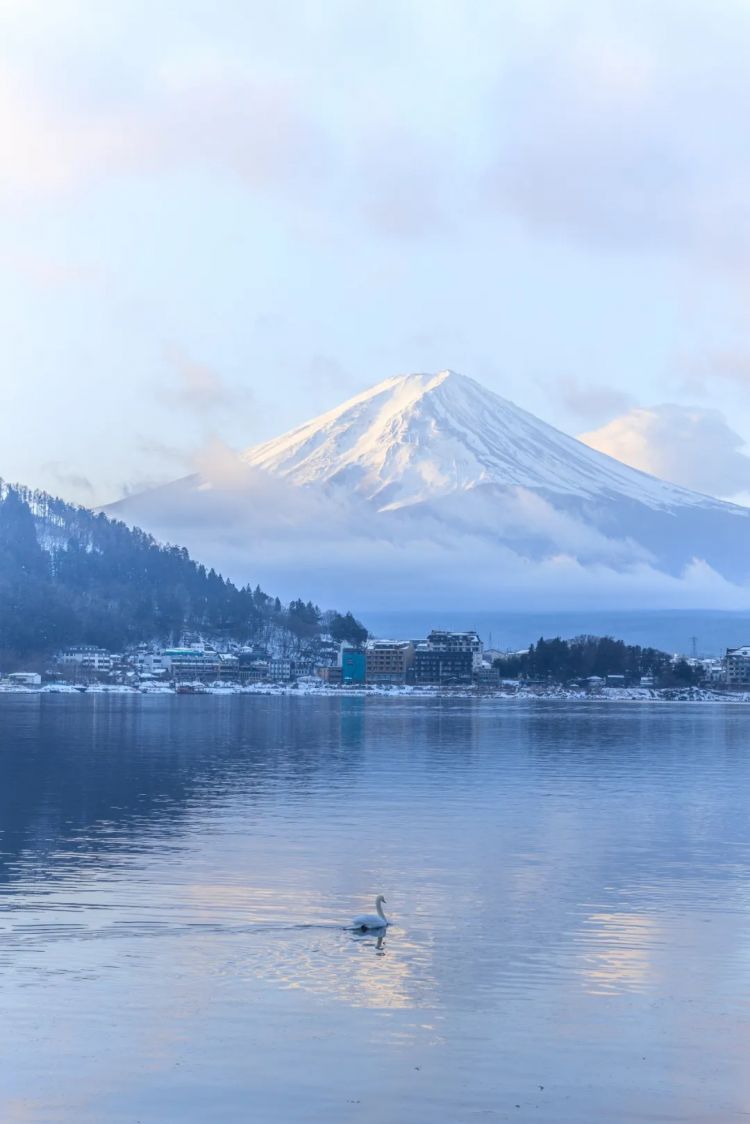 第275期：众议院选举大胜 日本进入高市早苗首相时代？米兰冬奥日本花滑团体摘银；平成的山口百惠闪婚？| 百通板