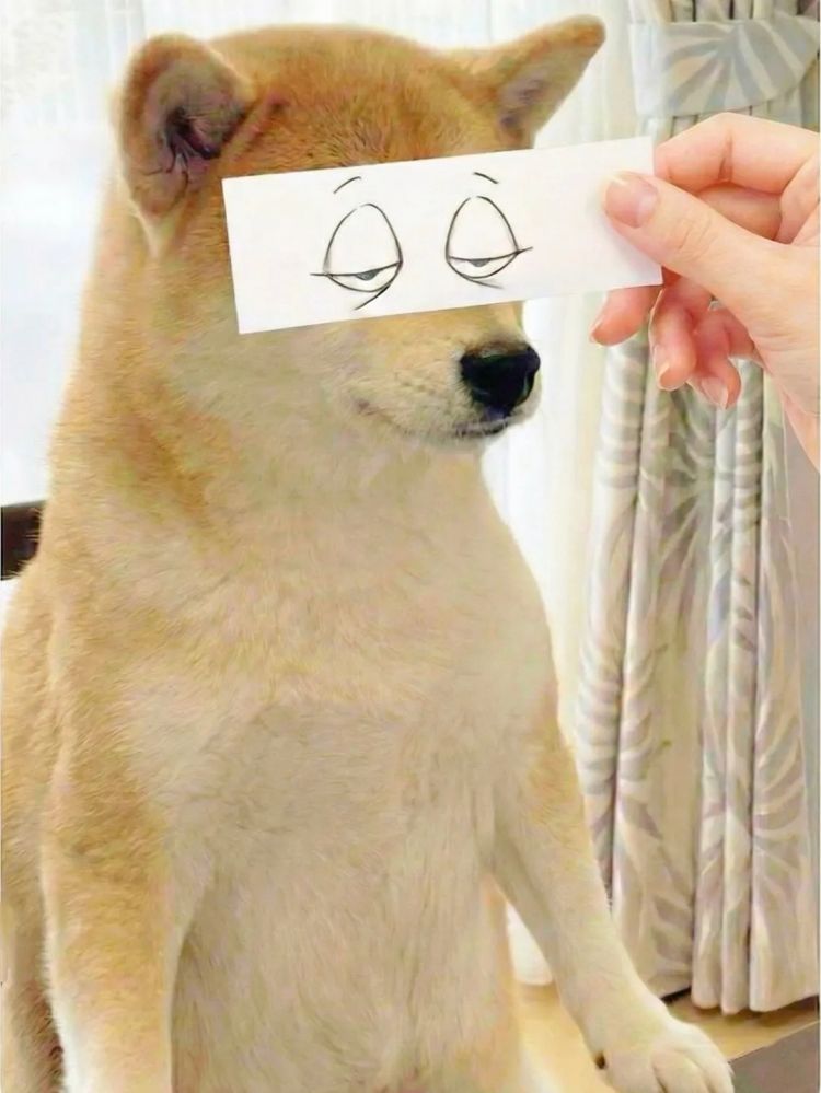 第275期：众议院选举大胜 日本进入高市早苗首相时代？米兰冬奥日本花滑团体摘银；平成的山口百惠闪婚？| 百通板