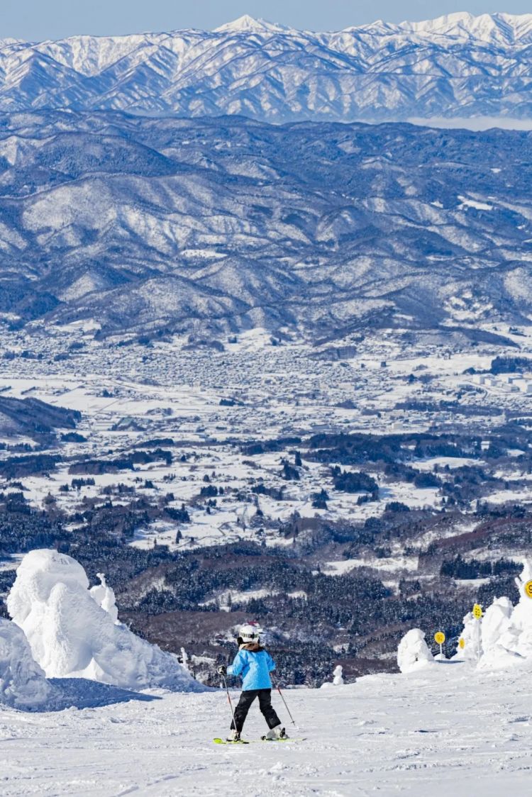 第275期：众议院选举大胜 日本进入高市早苗首相时代？米兰冬奥日本花滑团体摘银；平成的山口百惠闪婚？| 百通板