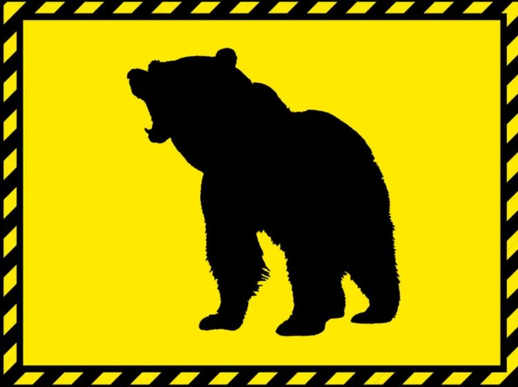 高市早苗连任；米兰冬奥男子花滑爆冷？《柯南》毛利兰声优病休 娜美声优代班？中森明菜复出巡演；| 百通板