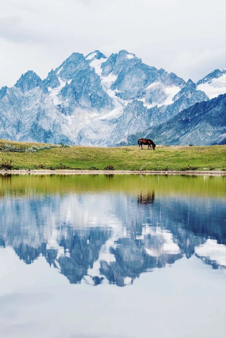 高市早苗连任；米兰冬奥男子花滑爆冷？《柯南》毛利兰声优病休 娜美声优代班？中森明菜复出巡演；| 百通板