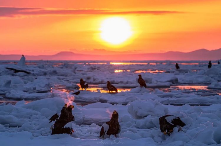 第277期:特朗普新关税再临?《EVA》官宣新作;东京晴空塔电梯突发故障?樱桃小丸子联动蜡笔小新;冬奥收官 | 百通板 第277期:特朗普新关税再临?《EVA》官宣新作;东京晴空塔电梯突发故障?樱桃小丸子联动蜡笔小新;冬奥收官 | 百通板