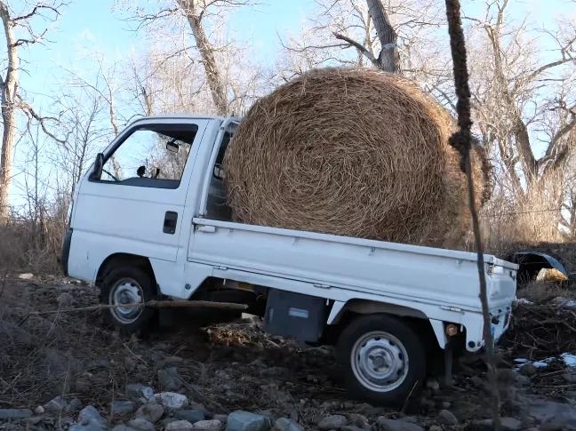 美国的基本盘，被日本偷家了