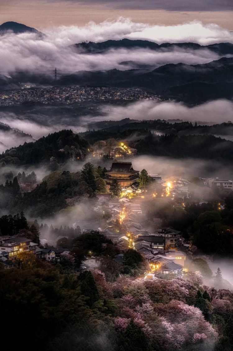 第278期：中国游客被撞身亡案开庭；小学馆包庇性犯罪编剧复出？宇多田光X樱桃小丸子联动；宝可梦30周年 | 百通板