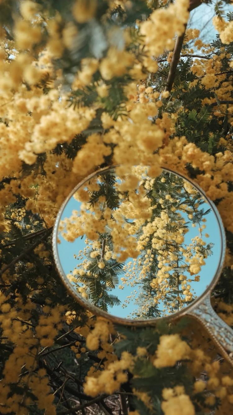 第279期：日本将征单身税？任天堂起诉特朗普？富士山再发登山事故；吴彦祖接替木村拓哉？| 百通板