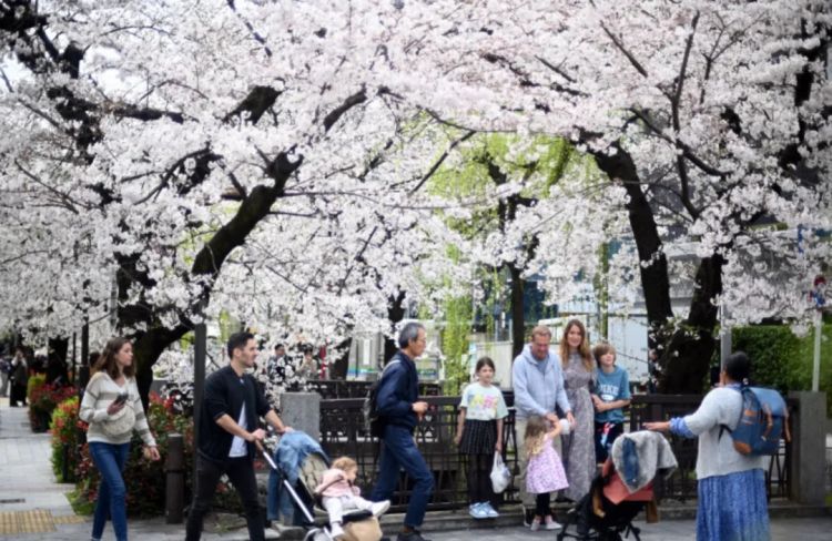 第279期：日本将征单身税？任天堂起诉特朗普？富士山再发登山事故；吴彦祖接替木村拓哉？| 百通板