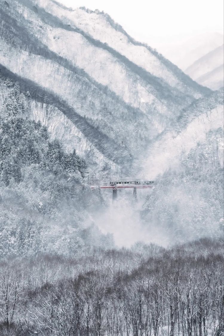 第280期:高市早苗否决女性天皇论?本田汽车估算巨额赤字?经典日剧《深夜食堂》将拍续集;第49届日本电影学院奖 | 百通板 第280期:高市早苗否决女性天皇论?本田汽车估算巨额赤字?经典日剧《深夜食堂》将拍续集;第49届日本电影学院奖 | 百通板