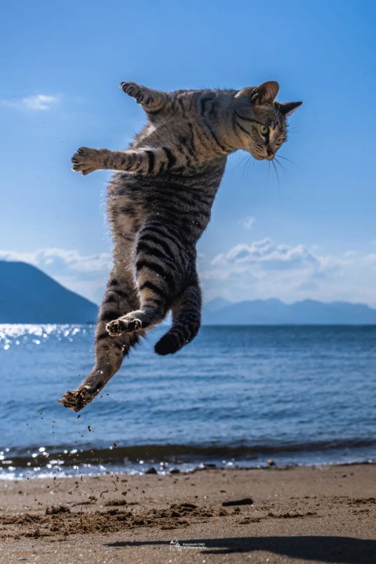 第280期:高市早苗否决女性天皇论?本田汽车估算巨额赤字?经典日剧《深夜食堂》将拍续集;第49届日本电影学院奖 | 百通板 第280期:高市早苗否决女性天皇论?本田汽车估算巨额赤字?经典日剧《深夜食堂》将拍续集;第49届日本电影学院奖 | 百通板