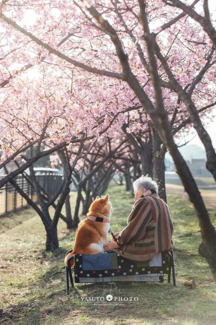 第280期:高市早苗否决女性天皇论?本田汽车估算巨额赤字?经典日剧《深夜食堂》将拍续集;第49届日本电影学院奖 | 百通板 第280期:高市早苗否决女性天皇论?本田汽车估算巨额赤字?经典日剧《深夜食堂》将拍续集;第49届日本电影学院奖 | 百通板