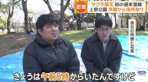 日本的樱花开了，为什么富士山下的樱花祭被叫停