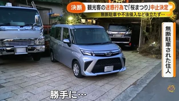 日本的樱花开了，为什么富士山下的樱花祭被叫停