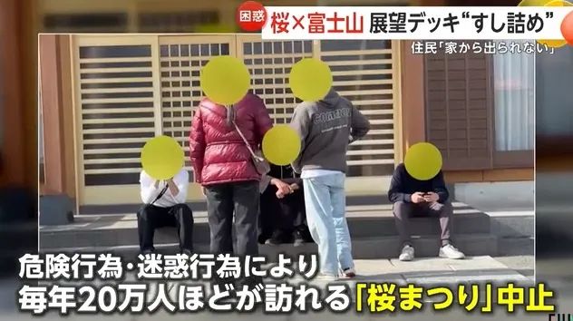 日本的樱花开了，为什么富士山下的樱花祭被叫停