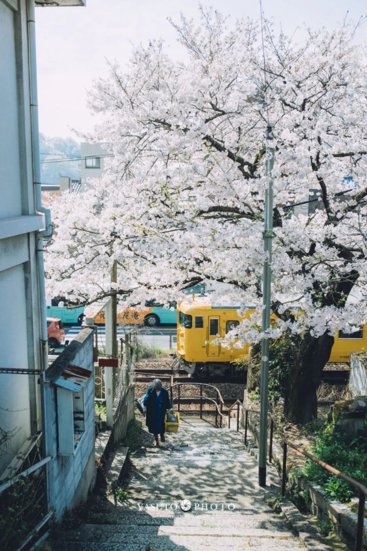 第281期:特朗普再提珍珠港?日本自卫队队员持刀闯入中国大使馆?拉布布X索尼将拍电影;索尼本田中止EV合作 | 百通板 第281期:特朗普再提珍珠港?日本自卫队队员持刀闯入中国大使馆?拉布布X索尼将拍电影;索尼本田中止EV合作 | 百通板