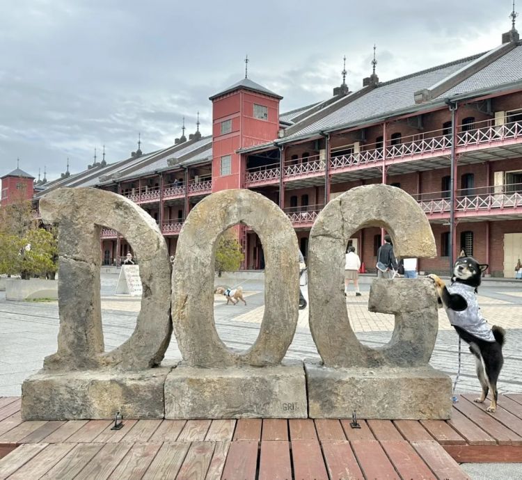 第281期:特朗普再提珍珠港?日本自卫队队员持刀闯入中国大使馆?拉布布X索尼将拍电影;索尼本田中止EV合作 | 百通板 第281期:特朗普再提珍珠港?日本自卫队队员持刀闯入中国大使馆?拉布布X索尼将拍电影;索尼本田中止EV合作 | 百通板