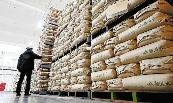 令和米荒持续这么久了,日本大米的价格现在怎么样了? 令和米荒持续这么久了,日本大米的价格现在怎么样了?