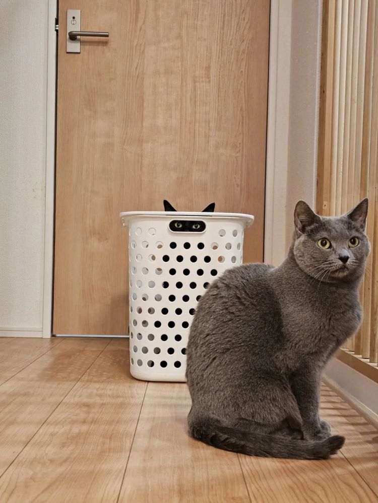 第281期:特朗普再提珍珠港?日本自卫队队员持刀闯入中国大使馆?拉布布X索尼将拍电影;索尼本田中止EV合作 | 百通板 第281期:特朗普再提珍珠港?日本自卫队队员持刀闯入中国大使馆?拉布布X索尼将拍电影;索尼本田中止EV合作 | 百通板