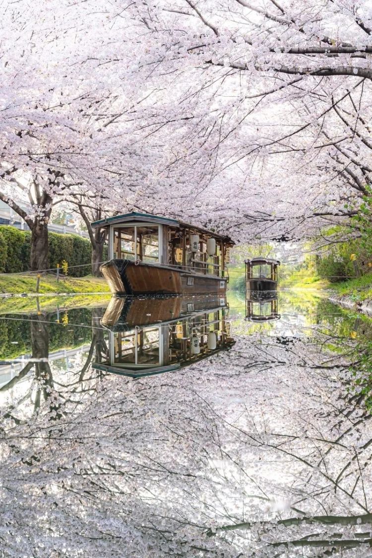 第281期:特朗普再提珍珠港?日本自卫队队员持刀闯入中国大使馆?拉布布X索尼将拍电影;索尼本田中止EV合作 | 百通板 第281期:特朗普再提珍珠港?日本自卫队队员持刀闯入中国大使馆?拉布布X索尼将拍电影;索尼本田中止EV合作 | 百通板