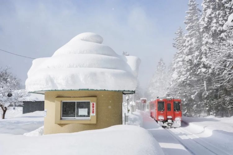 第281期:特朗普再提珍珠港?日本自卫队队员持刀闯入中国大使馆?拉布布X索尼将拍电影;索尼本田中止EV合作 | 百通板 第281期:特朗普再提珍珠港?日本自卫队队员持刀闯入中国大使馆?拉布布X索尼将拍电影;索尼本田中止EV合作 | 百通板