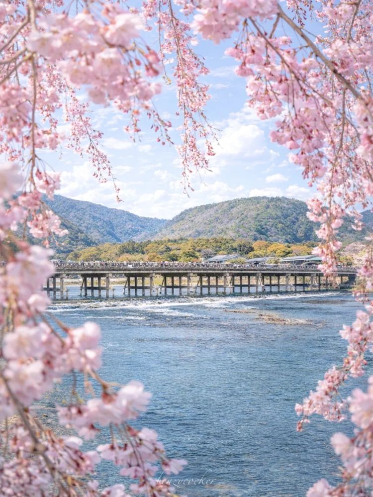 第281期:特朗普再提珍珠港?日本自卫队队员持刀闯入中国大使馆?拉布布X索尼将拍电影;索尼本田中止EV合作 | 百通板 第281期:特朗普再提珍珠港?日本自卫队队员持刀闯入中国大使馆?拉布布X索尼将拍电影;索尼本田中止EV合作 | 百通板