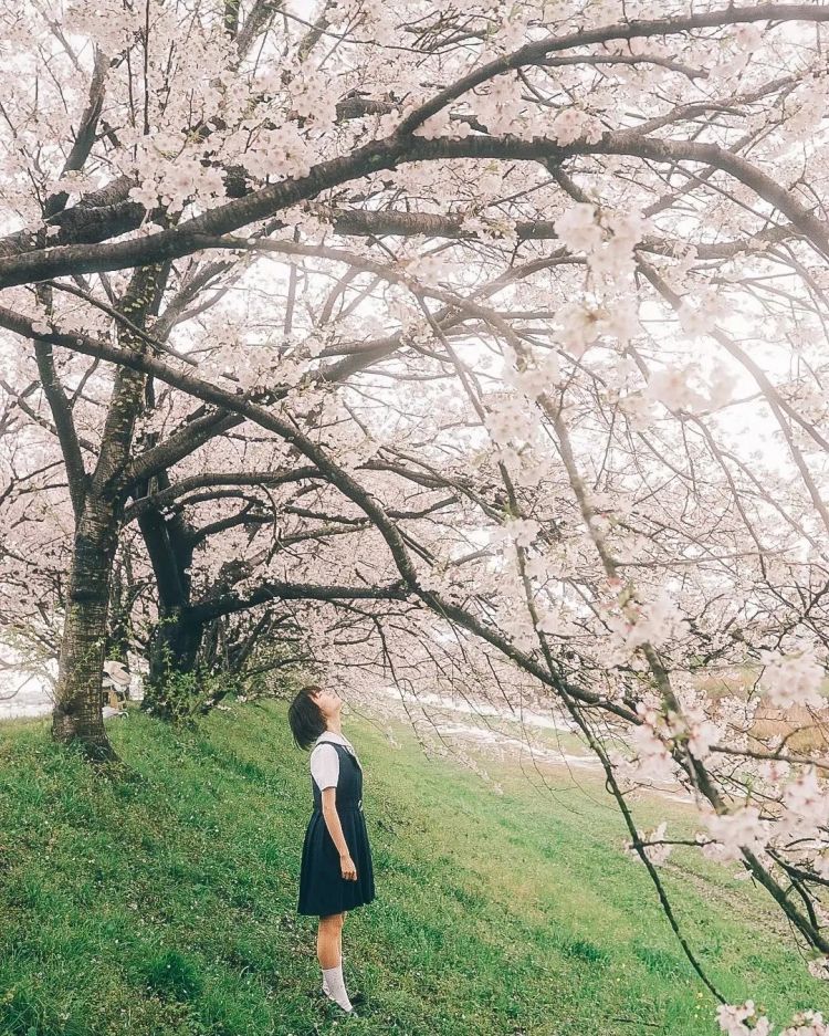 第281期:特朗普再提珍珠港?日本自卫队队员持刀闯入中国大使馆?拉布布X索尼将拍电影;索尼本田中止EV合作 | 百通板 第281期:特朗普再提珍珠港?日本自卫队队员持刀闯入中国大使馆?拉布布X索尼将拍电影;索尼本田中止EV合作 | 百通板