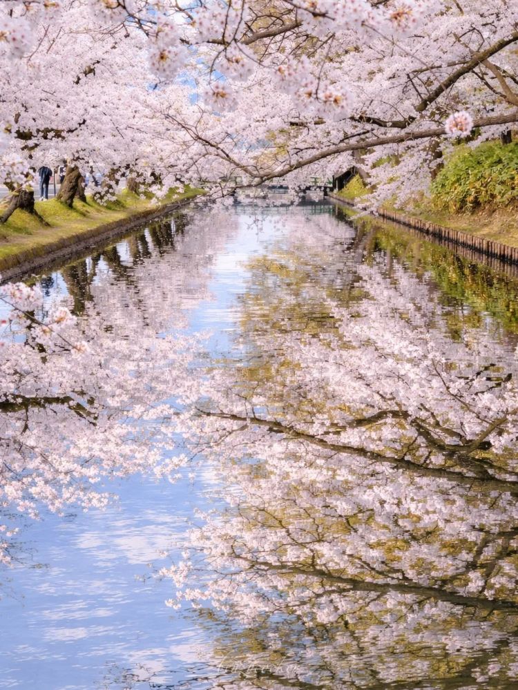 第282期：东京万人集会抗议高市早苗修宪？自卫队军官闯入中国大使馆；日本或于4月实现学校免费供餐？内田有纪X柏原崇秘密完婚？| 百通板