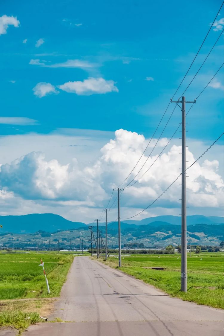 第282期：东京万人集会抗议高市早苗修宪？自卫队军官闯入中国大使馆；日本或于4月实现学校免费供餐？内田有纪X柏原崇秘密完婚？| 百通板