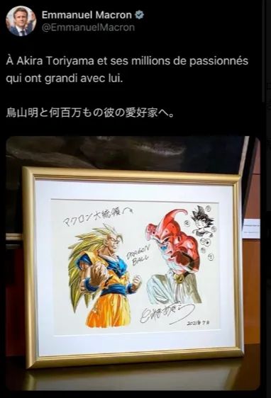 高市早苗欲讨好马克龙，拉着他上演“龟派气功”？日本网民气不打一处来，但却有人夸她有“大智慧”？