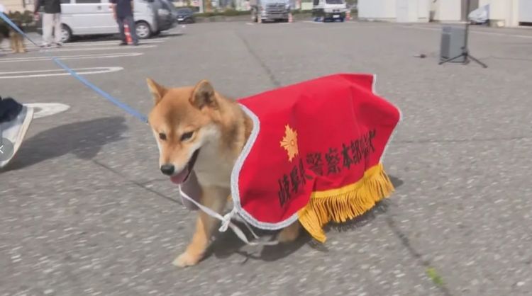 第283期：高市早苗公布个人资产？日本中学制服价格飙升 或统一制服？绫濑遥写3万封情书？| 百通板