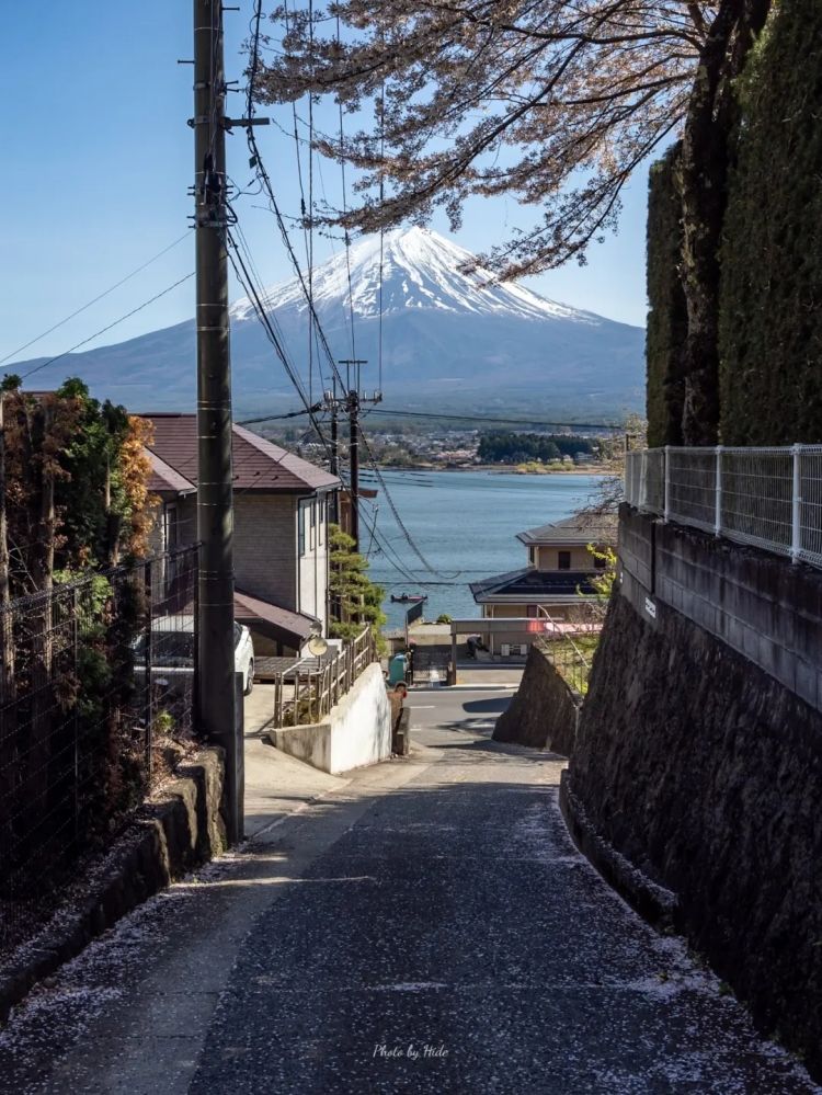 第284期：东京又发钱了？京都11岁男童遗体发现 其父涉嫌抛尸？藤井风首登科切拉；是枝裕和再入围戛纳 | 百通板