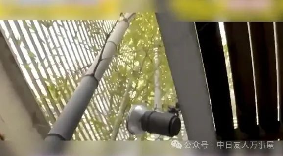 日本一女子为“复仇渣男”盖豪宅”，结局却出现意外反转，引发全网震惊