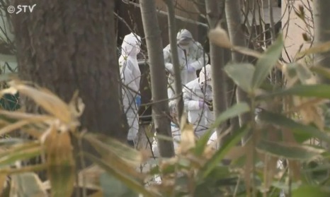 第287期：北海道动物园焚烧炉内现人体组织？板野友美退社；田中圭出轨淡圈成赌圣？大冢爱打造高中生组合 | 百通板