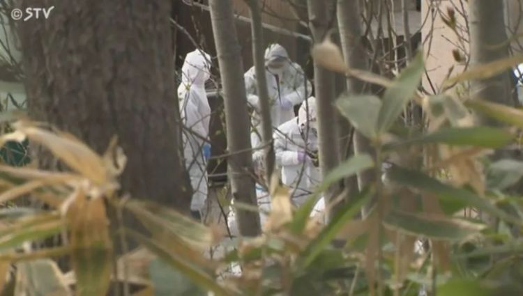 第287期：北海道动物园焚烧炉内现人体组织？板野友美退社；田中圭出轨淡圈成赌圣？大冢爱打造高中生组合 | 百通板