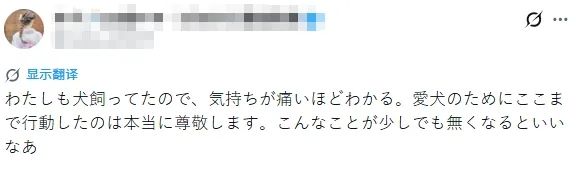 中日女性拼命为去世狗狗追凶，却被网暴吃“狗血馒头”？“狗是畜生而已”…