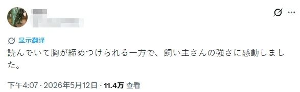 中日女性拼命为去世狗狗追凶，却被网暴吃“狗血馒头”？“狗是畜生而已”…