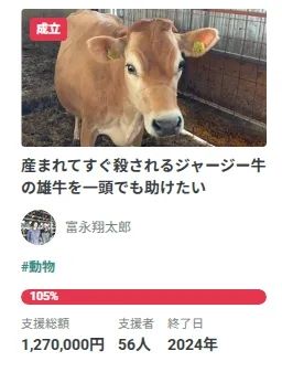 东京牛郎回家再次摇身变“牛郎”！但这次大家心甘情愿为他掏钱，并直呼：这“牛郎”太帅了！