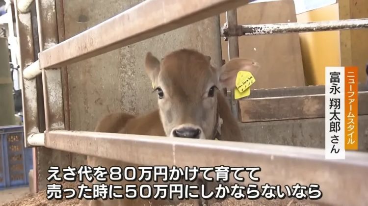 东京牛郎回家再次摇身变“牛郎”！但这次大家心甘情愿为他掏钱，并直呼：这“牛郎”太帅了！