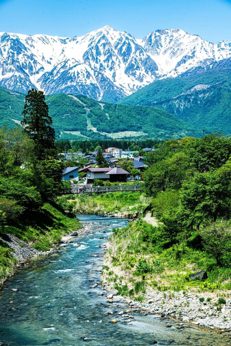 第290期：高市早苗支持率连降三月 抹黑门再添新锤？日本应届生就业率98％？首位日本戛纳影后诞生 | 百通板