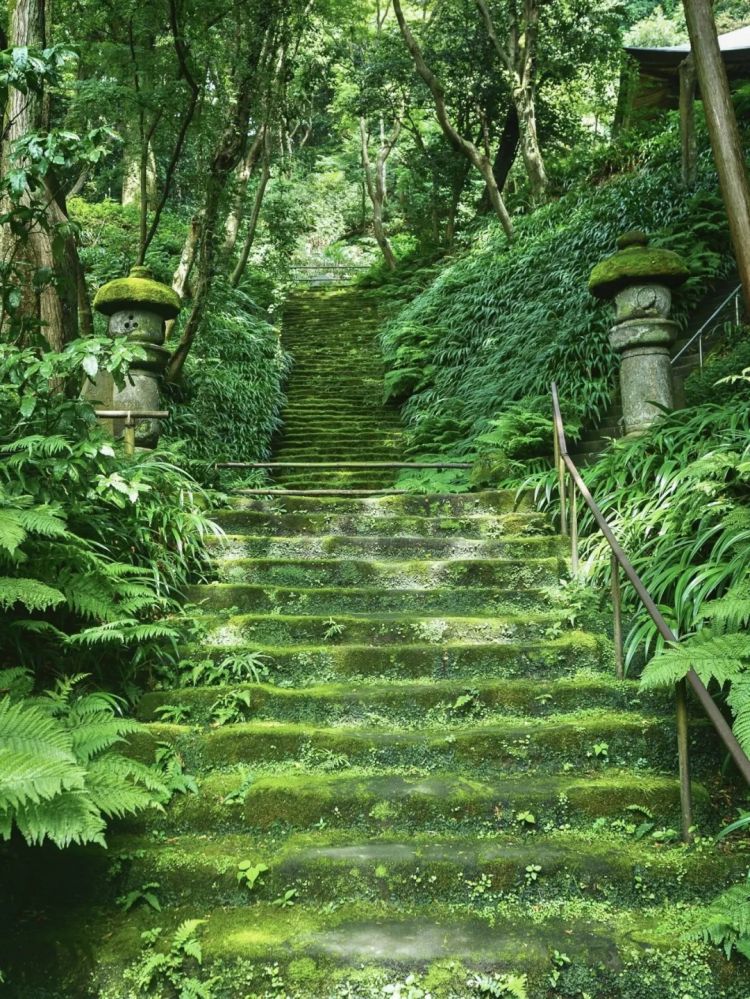第290期：高市早苗支持率连降三月 抹黑门再添新锤？日本应届生就业率98％？首位日本戛纳影后诞生 | 百通板